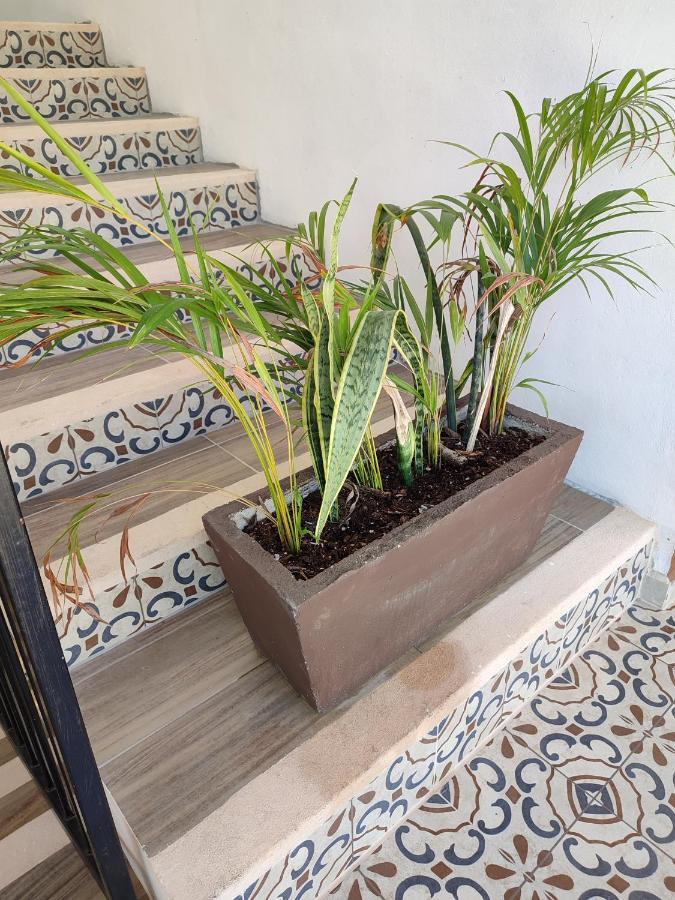 Hotel Casa Henequen Valladolid  Ngoại thất bức ảnh